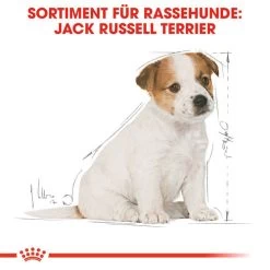 Royal Canin Jack Russell Terrier Puppy - Hundefutter 13 Royal Canin Jack Russell Terrier Puppy - Hundefutter -Haustier Discounter royal canin jack russell terrier puppy hondenvoer 139318 0500 none