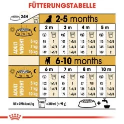 Royal Canin Jack Russell Terrier Puppy - Hundefutter 16 Royal Canin Jack Russell Terrier Puppy - Hundefutter -Haustier Discounter royal canin jack russell terrier puppy hondenvoer 139327 0500 none