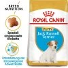 Royal Canin Jack Russell Terrier Puppy - Hundefutter -Haustier Discounter royal canin jack russell terrier puppy hondenvoer 140597 0500 none