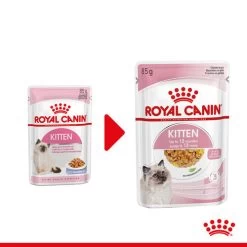 Royal Canin Kitten In Jelly - Katzenfutter -Haustier Discounter royal canin kitten in jelly kattenvoer 207116 0500 none