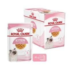 Royal Canin Kitten In Jelly - Katzenfutter