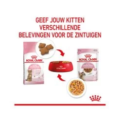 Royal Canin Kitten Sterilised Gelee - Beutel -Haustier Discounter royal canin kitten sterilised in jelly maaltijdzakje 207212 0500 none