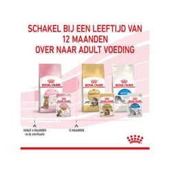 Royal Canin Kitten Sterilised Gelee - Beutel -Haustier Discounter royal canin kitten sterilised in jelly maaltijdzakje 207221 0500 none