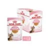 Royal Canin Kitten Sterilised Gelee - Beutel -Haustier Discounter royal canin kitten sterilised in jelly maaltijdzakje 207230 0500 none