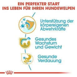 Royal Canin Labrador Retriever Puppy - Hundefutter -Haustier Discounter royal canin labrador retriever puppy hondenvoer 139429 0500 none