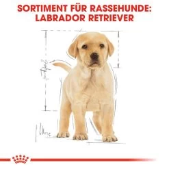 Royal Canin Labrador Retriever Puppy - Hundefutter -Haustier Discounter royal canin labrador retriever puppy hondenvoer 139438 0500 none
