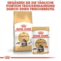 Royal Canin Maine Coon Adult Wet - Katzenfutter -Haustier Discounter royal canin maine coon adult wet kattenvoer 126035 0500 none