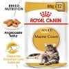 Royal Canin Maine Coon Adult Wet - Katzenfutter 1 Royal Canin Maine Coon Adult Wet - Katzenfutter -Haustier Discounter royal canin maine coon adult wet kattenvoer 126059 0500 none