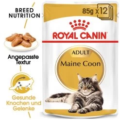 Royal Canin Maine Coon Adult Wet - Katzenfutter