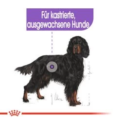 Royal Canin Maxi Sterilised - Hundefutter 13 Royal Canin Maxi Sterilised - Hundefutter -Haustier Discounter royal canin maxi sterilised hondenvoer 132662 0500 none