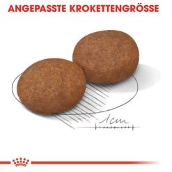 Royal Canin Medium Adult 7+ - Hundefutter -Haustier Discounter royal canin medium adult 7 hondenvoer 128495 0500 none