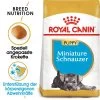 Royal Canin Mini Schnauzer Puppy - Hundefutter -Haustier Discounter royal canin mini schnauzer puppy hondenvoer 140197 0500 none