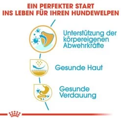 Royal Canin Pug Puppy - Hundefutter -Haustier Discounter royal canin pug puppy hondenvoer 139876 0500 none