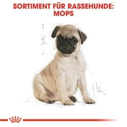 Royal Canin Pug Puppy - Hundefutter -Haustier Discounter royal canin pug puppy hondenvoer 139885 0500 none