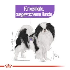 Royal Canin X-Small Sterilised - Hundefutter 12 Royal Canin X-Small Sterilised - Hundefutter -Haustier Discounter royal canin x small sterilised hondenvoer 143393 0500 none