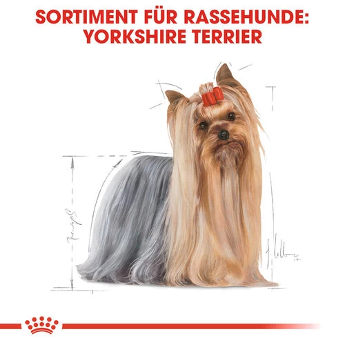 Royal Canin Yorkshire Terrier Adult - Hundefutter 6 Royal Canin Yorkshire Terrier Adult - Hundefutter – Bild 4