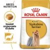 Royal Canin Yorkshire Terrier Adult - Hundefutter -Haustier Discounter royal canin yorkshire terrier adult hondenvoer 140768 0500 none