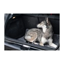 Royal Dry Doormat 12 Royal Dry Doormat -Haustier Discounter royal dry doormat 187417 0500 none