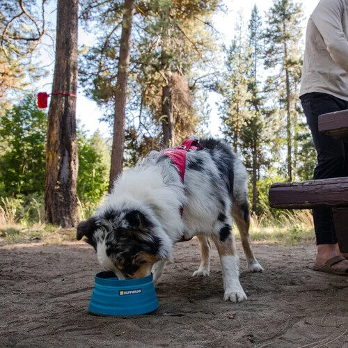 Ruffwear Bivy Bowl 8 Ruffwear Bivy Bowl – Bild 6