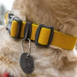 Ruffwear Hi & Light Halsband 12 Ruffwear Hi & Light Halsband -Haustier Discounter ruffwear hi light collar 194258 0500 none