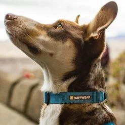 Ruffwear Hi & Light Halsband 11 Ruffwear Hi & Light Halsband -Haustier Discounter ruffwear hi light collar 194264 0500 none