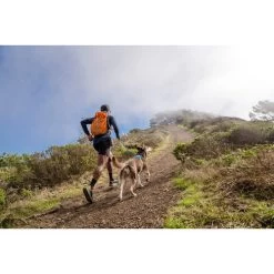 Ruffwear Hi & Light Harness -Haustier Discounter ruffwear hi light harness 196016 0500 none