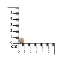 Monoderma Dry - Kleine Haustiere -Haustier Discounter sensipharm monoderma dry kleine huisdieren 174916 0500 none