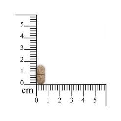 Smooth Locomotion Hund 7 Smooth Locomotion Hund -Haustier Discounter sensipharm smooth locomotion hond 174793 0500 none