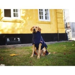 Siccaro WetDog SupremePro 13 Siccaro WetDog SupremePro -Haustier Discounter siccaro wetdog supremepro 20 216994 0500 none