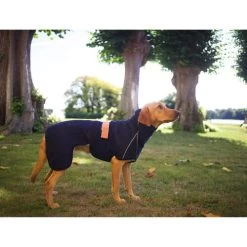 Siccaro WetDog SupremePro 11 Siccaro WetDog SupremePro -Haustier Discounter siccaro wetdog supremepro 20 216995 0500 none