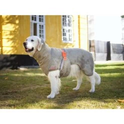 Siccaro WetDog SupremePro 10 Siccaro WetDog SupremePro -Haustier Discounter siccaro wetdog supremepro 20 216997 0500 none