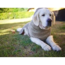 Siccaro WetDog SupremePro 12 Siccaro WetDog SupremePro -Haustier Discounter siccaro wetdog supremepro 20 216998 0500 none