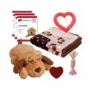 Snuggle Puppy Willkommenspaket Girl -Haustier Discounter snuggle puppy welkomstpakket girl 129779 0500 none