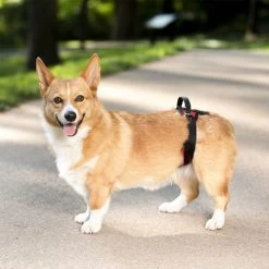 PetSafe Carelift - Tragesystem / Tragegeschirr Für Hunde -Haustier Discounter solvit carelift draagsysteem voor de hond 163711 0500 none