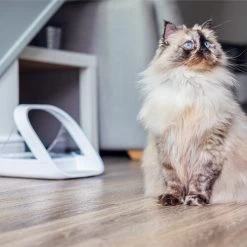 Surefeed Connect Mikrochip-Futterautomat -Haustier Discounter surefeed microchip voerbak connect 221224 0500 none