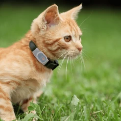 Tabcat Cat Tracker -Haustier Discounter tabcat cat tracker 217613 0500 none