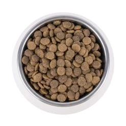 Vetality Urinary - Katzenfutter -Haustier Discounter vetality urinary kattenvoer 195269 0500 none