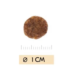 Vetality Urinary - Katzenfutter -Haustier Discounter vetality urinary kattenvoer 195464 0500 none