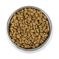 Vetality Weight Management - Hundefutter 9 Vetality Weight Management - Hundefutter -Haustier Discounter vetality weight management hondenvoer 195227 0500 none