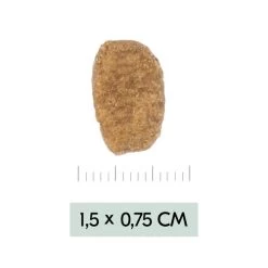 Vetality Weight Management - Hundefutter 8 Vetality Weight Management - Hundefutter -Haustier Discounter vetality weight management hondenvoer 195455 0500 none