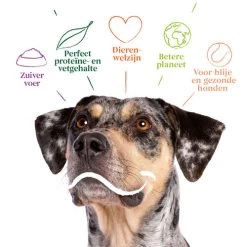 Yarrah - Bio Trockenfutter Vega Getreidefrei 9 Yarrah - Bio Trockenfutter Vega Getreidefrei -Haustier Discounter yarrah bio droogvoer hond vega graanvrij 201212 0500 none