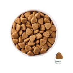 Yarrah - Bio Trockenfutter Vega Getreidefrei 10 Yarrah - Bio Trockenfutter Vega Getreidefrei -Haustier Discounter yarrah bio droogvoer hond vega graanvrij 201221 0500 none
