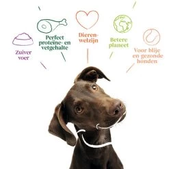 Yarrah - Getreidefreies Trockenfutter Bio -Haustier Discounter yarrah droogvoer hond graanvrij bio 201170 0500 none