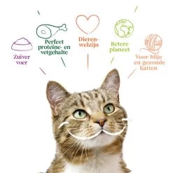 Yarrah - Katzenfutter Paté Rind Mit Chicorée Bio -Haustier Discounter yarrah pat kat kuipje met rund bio 201059 0500 none