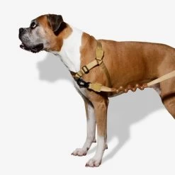Zee.Dog Soft Walk Harness -Haustier Discounter zeedog soft walk harness 200678 0500 none