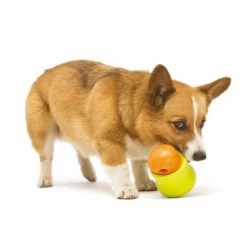 Zogoflex Toppl - Treat Toy -Haustier Discounter zogoflex toppl treat toy 219464 0500 none